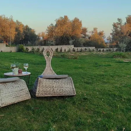 Villa Gala Family With Sea View, Garden & Bbq Erétria